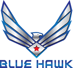 Blue Hawk logo
