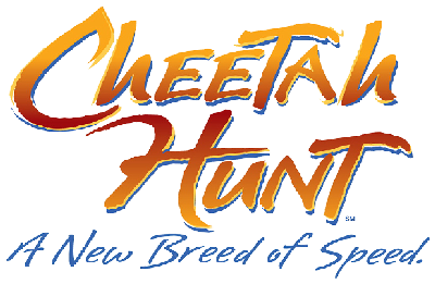 Cheetah Hunt logo