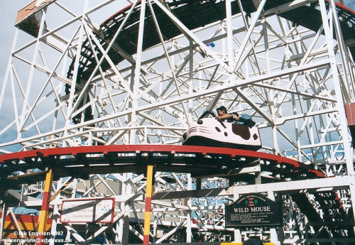 Photo of Wild Mouse