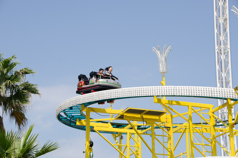 Photo of Wild Mouse